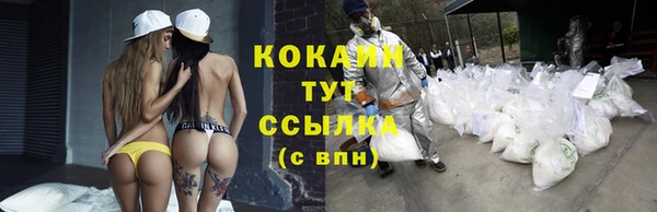 шишки Балабаново