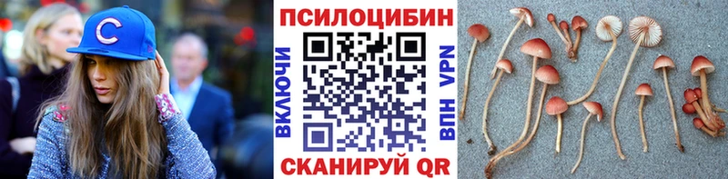 Галлюциногенные грибы прущие грибы  omg ссылки  Бугульма  где купить  